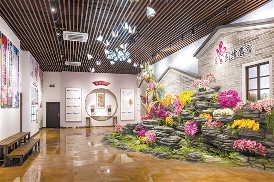 崖門鎮(zhèn)打造的“蘭蘋集市”是一個花卉展銷平臺，內(nèi)設(shè)蘭花培育種植科普室。