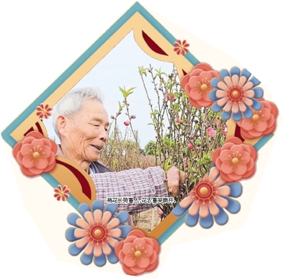 桃花長勢喜人，花農(nóng)喜笑顏開。