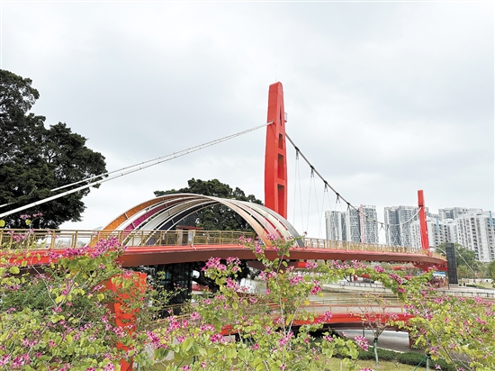江門公園遍地開花，景色宜人。