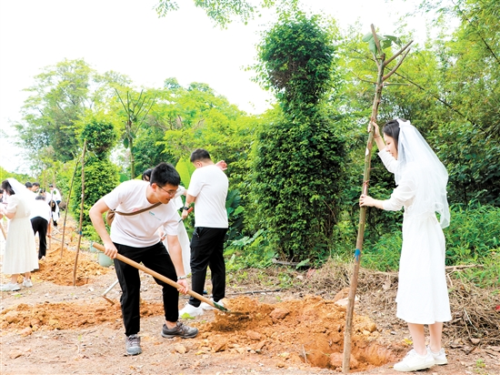 “520”來臨前，蓬江區(qū)25對新人在杜阮涼瓜田園綜合體舉行集體婚禮，并種下“愛情樹”、共植“同心林”。