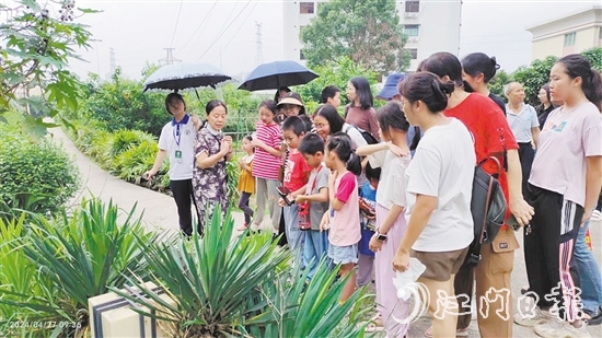市民在嶺南藥用植物園學(xué)習(xí)辨認常用的藥用植物。