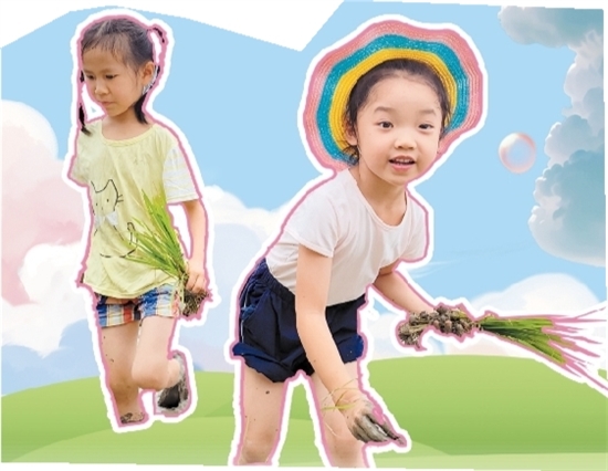蓬江區(qū)第一幼兒園的小朋友們體驗(yàn)插秧。