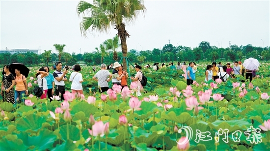 梅江農(nóng)業(yè)生態(tài)園迎來大批市民游客前來打卡。