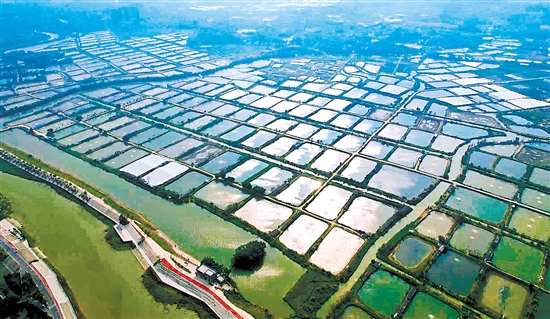 古勞鎮(zhèn)大埠村將以強(qiáng)經(jīng)濟(jì)、促和美、惠民生為主攻方向，以打造“廣東省休閑農(nóng)業(yè)與鄉(xiāng)村旅游示范點(diǎn)”為目標(biāo)，以推進(jìn)中鐵文旅·田園綜合體、美麗漁場(chǎng)、光伏發(fā)電、“云龍競(jìng)渡”綜合觀光樓等項(xiàng)目為抓手，促進(jìn)農(nóng)文康旅融合高質(zhì)量發(fā)展。古勞鎮(zhèn)供圖