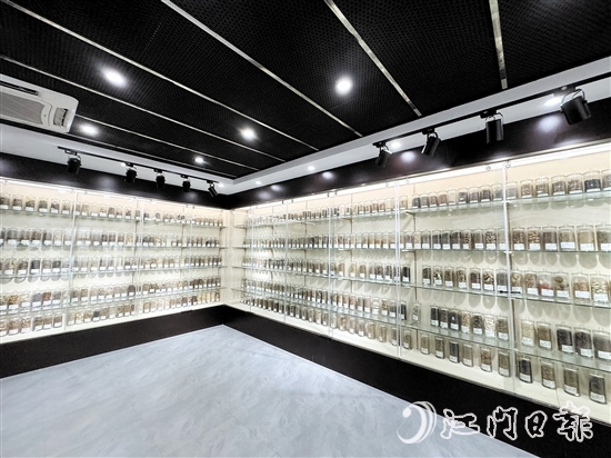 中藥篇展廳中央展區(qū)擺放著近100種藥材。