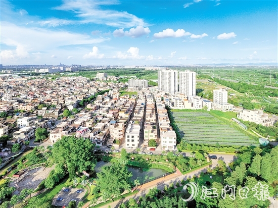 禮樂街道英南村先后獲得“全國先進(jìn)基層黨組織”“全國鄉(xiāng)村治理示范村”等7個“國字號”榮譽(yù)稱號。