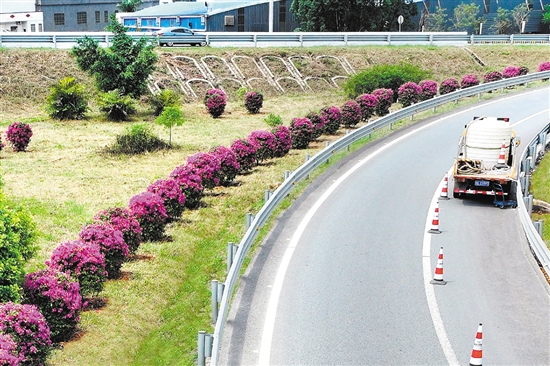 開陽高速公路形成一條路中有景、景中有路的綠美交通廊道。