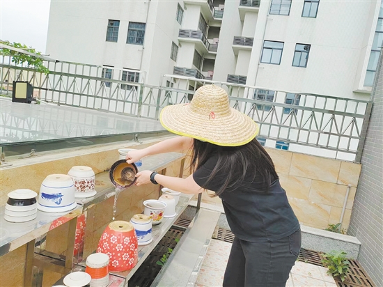市民清理閑置積水容器，防止蚊蟲孳生。
