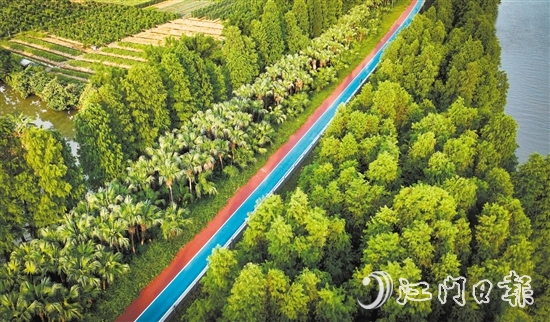 江海區(qū)鄉(xiāng)村綠廊碧帶串聯(lián)多個公園和自然景觀區(qū)，成為市民休閑娛樂的好去處。