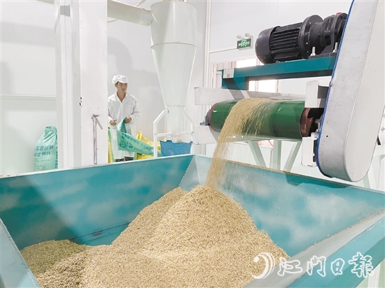 源林生態(tài)有機(jī)米的年產(chǎn)量達(dá)700噸。
