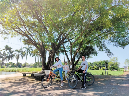 深圳游客在江門暢享“3.3精彩之旅”。