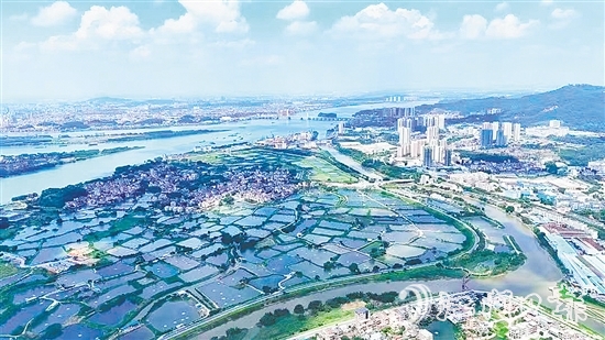 沙坪街道大力開展人居環(huán)境整治大行動，在環(huán)境整治和風(fēng)貌提升上雙向發(fā)力，運(yùn)用“加減法”做好鄉(xiāng)村風(fēng)貌治理，帶動各村（社區(qū)）人居環(huán)境“顏值”再提升。