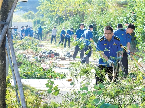 區(qū)城市管理綜合執(zhí)法局在豐樂路省實(shí)江門學(xué)校東門段開展雜草清理工作。