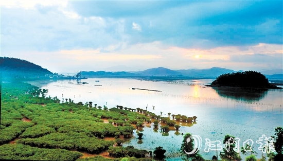 恩平擁有大灣區(qū)連片面積最大的紅樹林——約373.33公頃（5600畝）鎮(zhèn)海灣紅樹林。