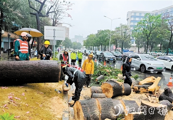 經(jīng)過加急作業(yè)，工作人員完成部分路段的清障工作，讓車輛順利通行。