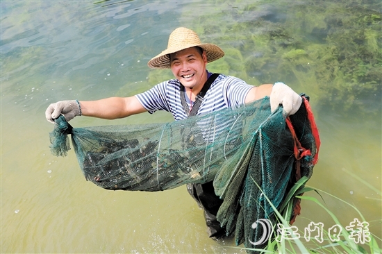 “信用+金融服務(wù)”有效解決養(yǎng)殖戶資金難題。