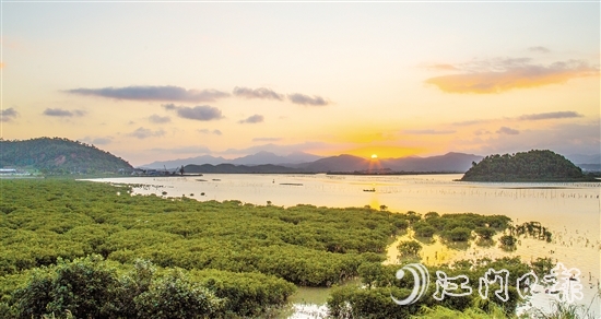 珠三角連片面積最大的紅樹(shù)林——恩平市鎮(zhèn)海灣紅樹(shù)林，面積約373.33公頃（5600畝）。