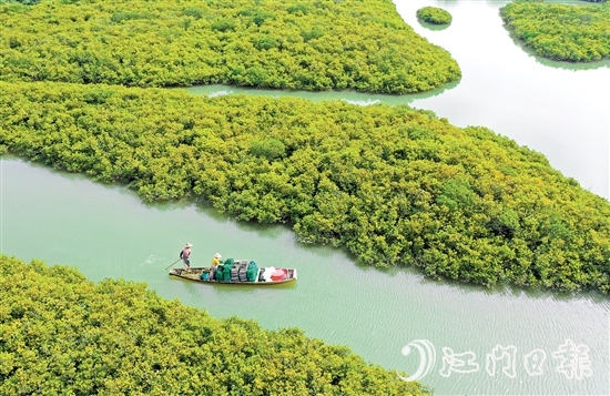 優(yōu)質(zhì)豐富的生態(tài)資源是恩平的核心優(yōu)勢(shì)，也是恩平市推動(dòng)經(jīng)濟(jì)社會(huì)高質(zhì)量發(fā)展的重要依托。