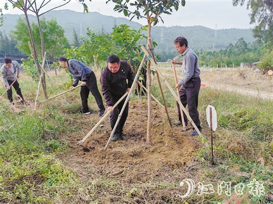 志愿者手持鋤頭，對每一棵樹木周圍的雜草進(jìn)行清除，并對土壤進(jìn)行松土處理，確保每一棵樹木都能在良好的土壤環(huán)境中生長。