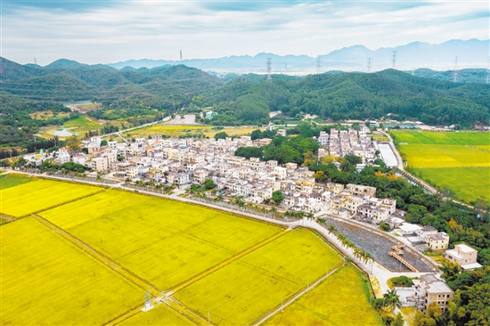 赤溪鎮(zhèn)護(hù)嶺村是客家人聚居村,先后入選廣東省首批“百千萬(wàn)工程”典型村、廣東省鄉(xiāng)村振興示范村創(chuàng)建名單。