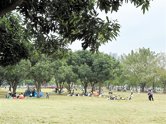 天氣晴好，不少市民到公園草坪露營野餐。