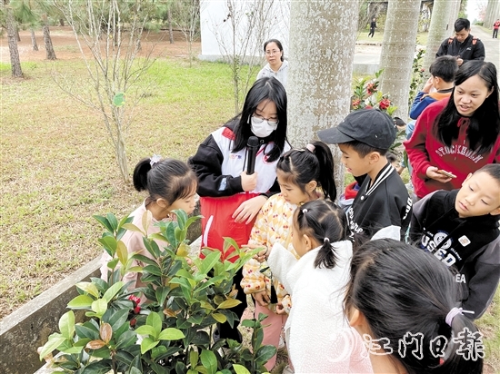 孩子們在自然導(dǎo)師的介紹下了解各種植物。