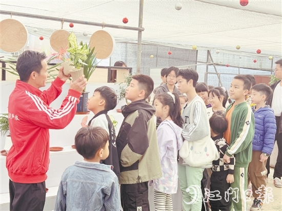 經(jīng)驗豐富的園藝導師向青少年們介紹綠植的種類、生長習性、養(yǎng)護技巧等知識。