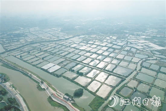 科技特派員助力古勞鎮(zhèn)大力發(fā)展特色漁業(yè)養(yǎng)殖，加快建設(shè)“省級(jí)示范性美麗漁場(chǎng)”。