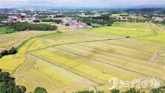 南塘村通過“兩預(yù)兩委托”模式，成功整合約73.33公頃（1100多畝）田地，依托農(nóng)村“三資”管理平臺(tái)流轉(zhuǎn)給專業(yè)農(nóng)業(yè)公司開展大規(guī)模種植。