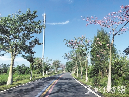 開平入選第四批“四好農(nóng)村路”全國示范縣。