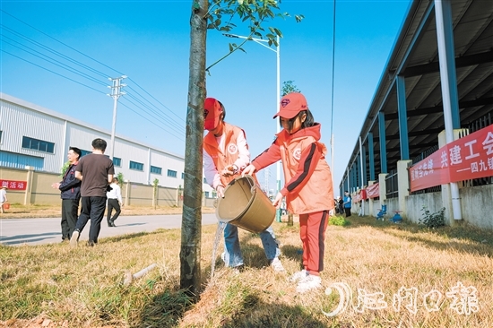 2024年，臺山市植樹10.2萬株，完成計劃任務的144%。