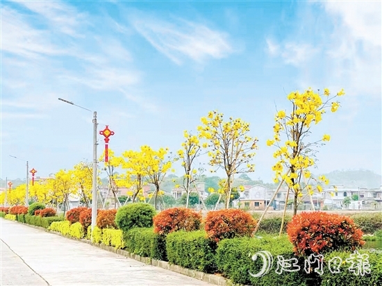 南合村的“顏值”不斷提升。