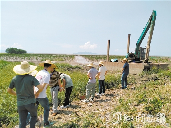人大代表到紅樹林保護(hù)區(qū)進(jìn)行實(shí)地調(diào)研。