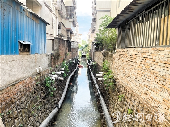 整改前的新昌明渠積存大量污水，長時間暴露后容易發(fā)黑發(fā)臭。