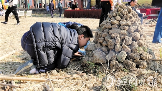 孩子在田野間體驗(yàn)焗雞。
