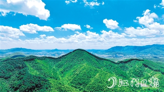 鶴山市現(xiàn)有林地面積54333.33公頃（81.5萬(wàn)畝），2024年5月，鶴山市被選為廣東唯一、全國(guó)21個(gè)開展林權(quán)登記試點(diǎn)工作的縣（市、區(qū)）之一。