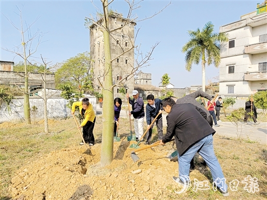 啟動儀式結束后，干群一起植樹。