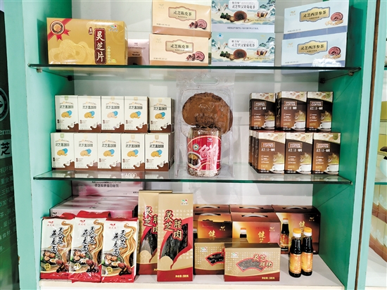 琳瑯滿目的靈芝類產(chǎn)品。