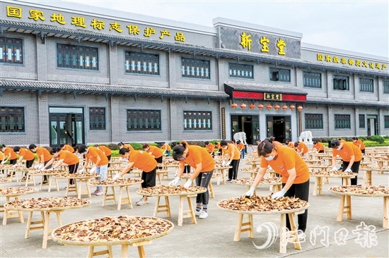 新寶堂堅(jiān)持天然生曬、自然陳化的新會(huì)陳皮傳統(tǒng)炮制技藝。