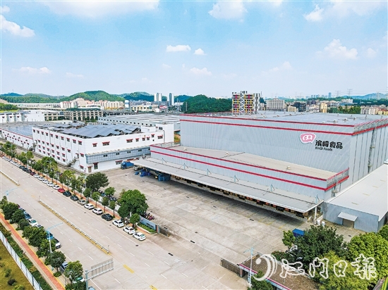 作為“省字號”創(chuàng)新型中小企業(yè)、科技型中小企業(yè)、高新技術(shù)企業(yè)，廣東濱崎控股集團有限公司正積極把握新一輪產(chǎn)業(yè)變革趨勢，以創(chuàng)新引領發(fā)展。