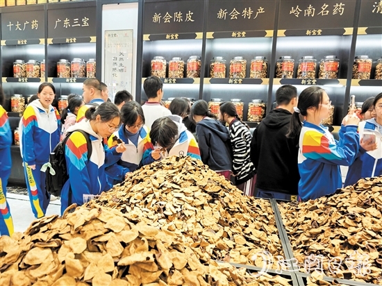在陳皮展廳，同學(xué)們學(xué)習(xí)辨識(shí)不同年份的陳皮。