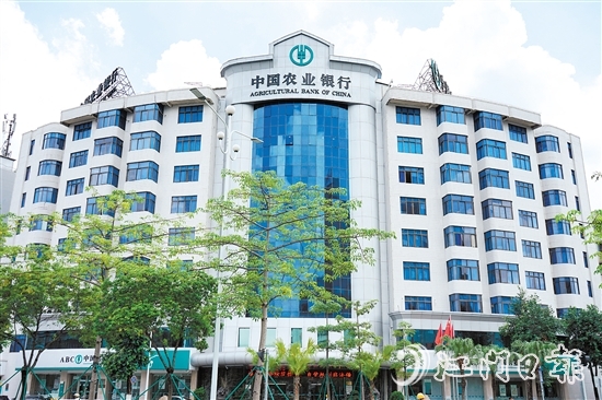 農(nóng)業(yè)銀行江門分行以細(xì)膩入微的筆觸寫好金融“五篇大文章”。