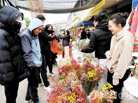 不少市民來到禮樂街道迎春花市選購年花。陳嬋