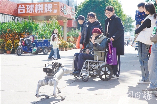 電子警犬與市民友好互動。
