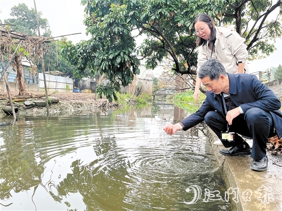新會(huì)區(qū)紀(jì)檢監(jiān)察干部到雙水鎮(zhèn)北水村回訪，查看水質(zhì)變化。