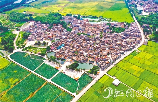 恩平市深入開展綠美生態(tài)建設(shè)，人居環(huán)境持續(xù)提升。