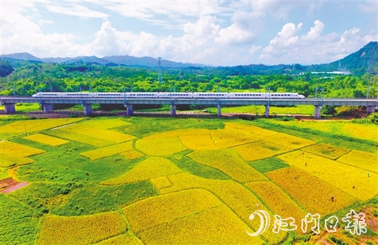 恩平市不斷完善交通網(wǎng)絡(luò)，推進(jìn)深度融灣。圖為江湛鐵路經(jīng)過(guò)恩平。