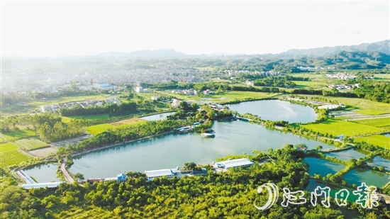 橫東村特色農(nóng)業(yè)發(fā)展勢(shì)頭較好。