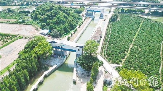 江新聯(lián)圍睦洲樞紐除險加固工程已基本完工，實現(xiàn)華麗變身，更好地發(fā)揮自身水利功能。