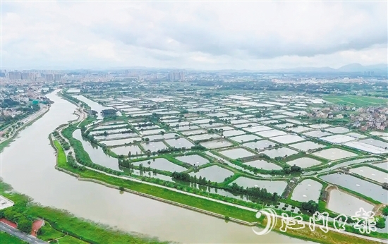 古勞鎮(zhèn)發(fā)動(dòng)魚塘養(yǎng)殖戶開(kāi)展魚塘清淤，推動(dòng)魚塘養(yǎng)殖增產(chǎn)增收。